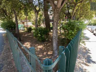 Mentre in via Niceforo � facile passeggiare accanto a delle oasi composte da maestosi alberi...